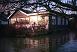 Picture of the house from the front with the garden flooded